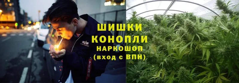 Канабис SATIVA & INDICA  Бабаево 